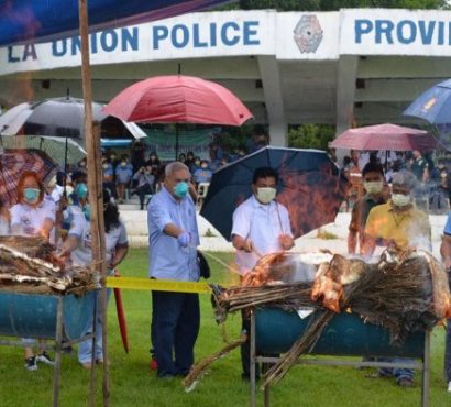 Destruction of dangerous drugs img-responsive